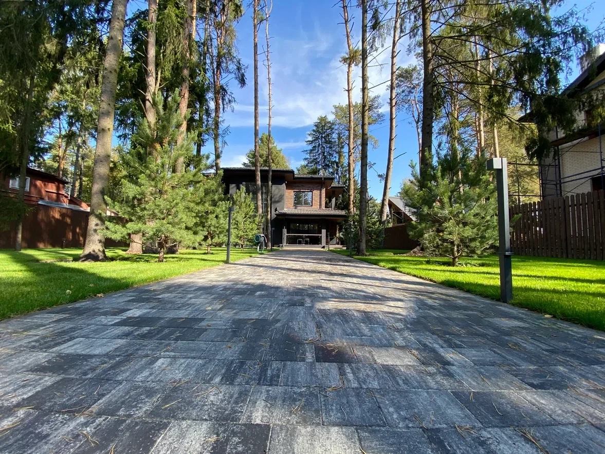 Paved entrance leading through trees towards a house
